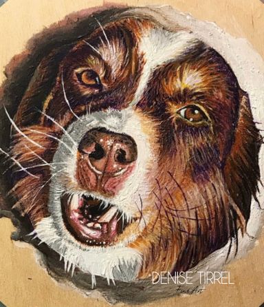Haustier Portrait