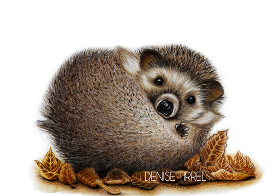 Tierische Geschichten