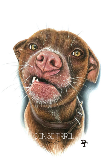 Serie Handicap-Tiere