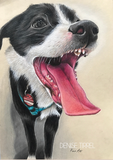 Haustier-Portrait